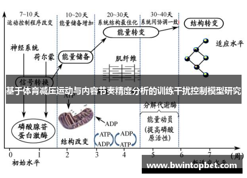 基于体育减压运动与内容节奏精度分析的训练干扰控制模型研究