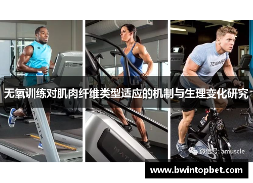 无氧训练对肌肉纤维类型适应的机制与生理变化研究